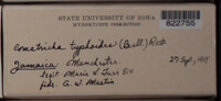 Image Associated With the Occurence